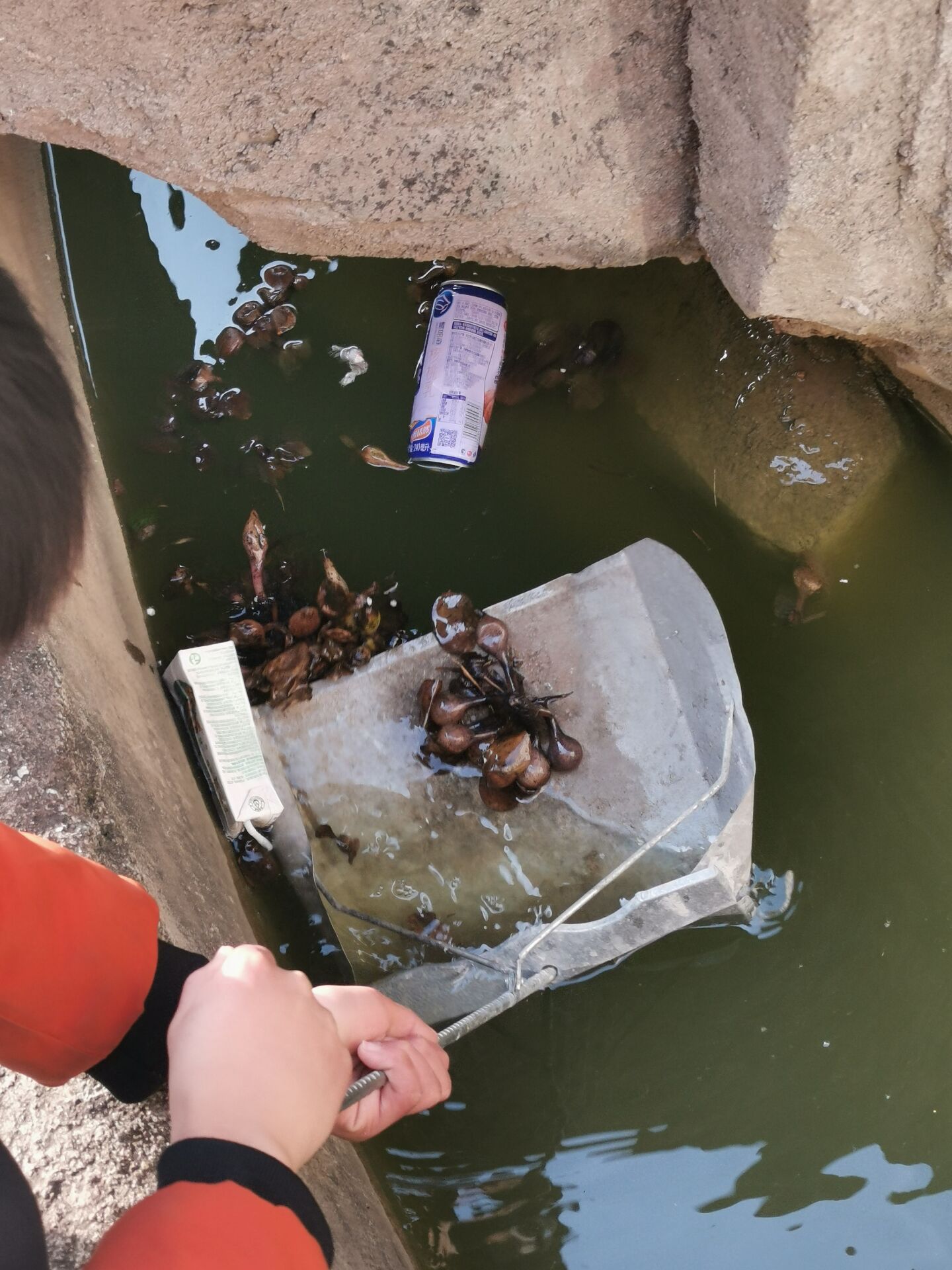 ���|Ů�ӌW(xu��)У